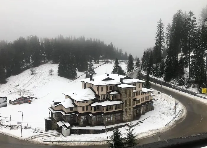 палас - Palace *